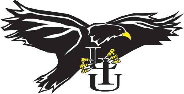 LIU-Brooklyn Blackbirds 1996-2007 Primary Logo t shirts iron on transfers